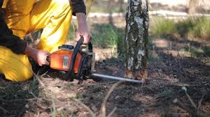 Best Lawn Irrigation Installation and Maintenance  in Heber, CA