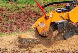 How Our Tree Care Process Works  in  Heber, CA