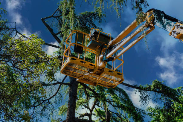 Soil Testing and Treatment in Heber, CA